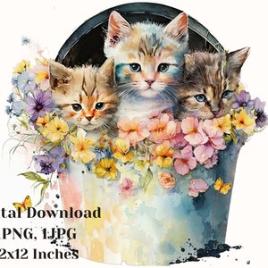 Chatons dans le seau, aquarelle chaton Clipart, chat Png, chat mignon clip art, graphique chat peint à la main, chat portrait clipart, clipart chat mignon