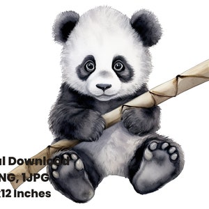 Panda Watercolor Clipart, Fantasy, Digital paper, Graphic Design, Stationery Clip Art, sublimation, popular png, sticker png, eating bamboo