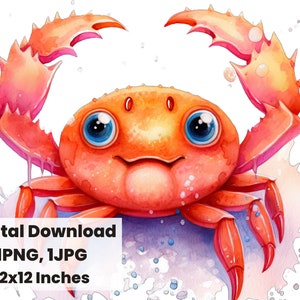 Bebé cangrejo dibujos animados acuarela clipart, pesca de cangrejos, imágenes prediseñadas de pesca, cangrejo PNG, pesca de cangrejo en el océano, ilustración acuarela, cangrejo bebé png