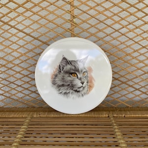 Vintage Cat Decorative Tile H&R Johnson England Pot Rest - Wall Art