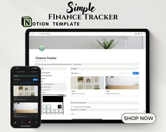Modèle de suivi financier Notion Modèle de planification budgétaire de planificateur financier Notion Suivi des dépenses Suivi d'économies Modèle de planification financière