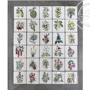 May include: Thirty square ceramic tiles, each with a unique botanical illustration. The images depict diverse plants, fruits, and flowers in vivid colours. The tiles are arranged on a grey surface, forming a decorative pattern, ideal for home decor.