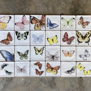 Butterfly Ceramic Tiles, Australian Made Tiles displaying various butterflies in a set of 24