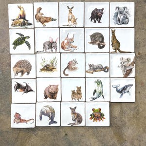 Australian Animal Ceramic Tiles | Wildlife Splashback Tiles