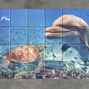 May include: A colourful underwater scene with a sea turtle swimming towards a dolphin. The turtle is brown with a red shell and the dolphin is grey. There are many small fish swimming in the background.