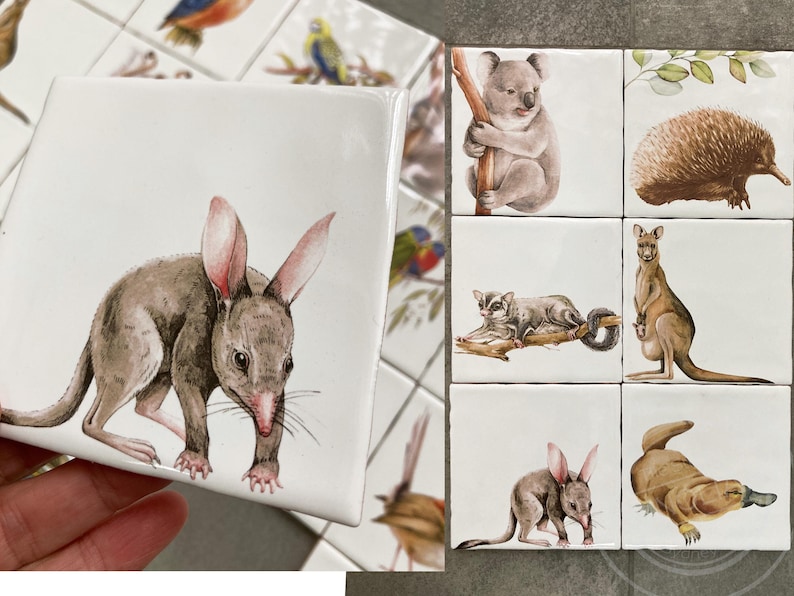 Australian Wildlife Ceramic Tiles: Native Birds, Animals Art Splashback ...