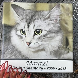 May include: A white ceramic tile with a black border and a photo of a grey and white cat. The text "Mautzi Loving Memory - 2008 - 2018" is printed on the tile.
