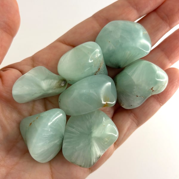 Prehnite Tumbled Crystal, Minty Green Prehnite Tumbled Stone from Namibia, Tumbled Prehnite in Multiple Sizes