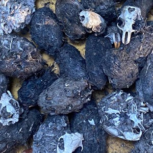 May include: A collection of dark gray owl pellets, some with visible bone fragments and small skulls. The pellets are clustered together, with a few scattered on a yellow surface. The image provides a close-up view of the natural remnants of an owl's diet.