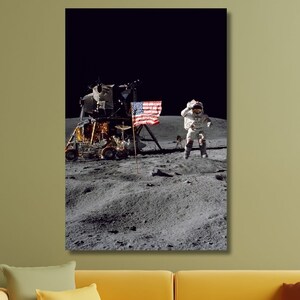 Peut inclure: Une photographie en noir et blanc d'un astronaute plantant le drapeau américain sur la lune. L'astronaute porte une combinaison spatiale blanche et se tient à côté d'un module lunaire.