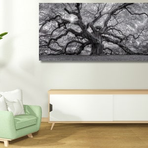 Big Angel Oak Tree Panoramic Canvas Art Charleston South Carolina Angel Oak Tree Print Tree Wall Art Tree Painting Oak Tree Nature Wall Art