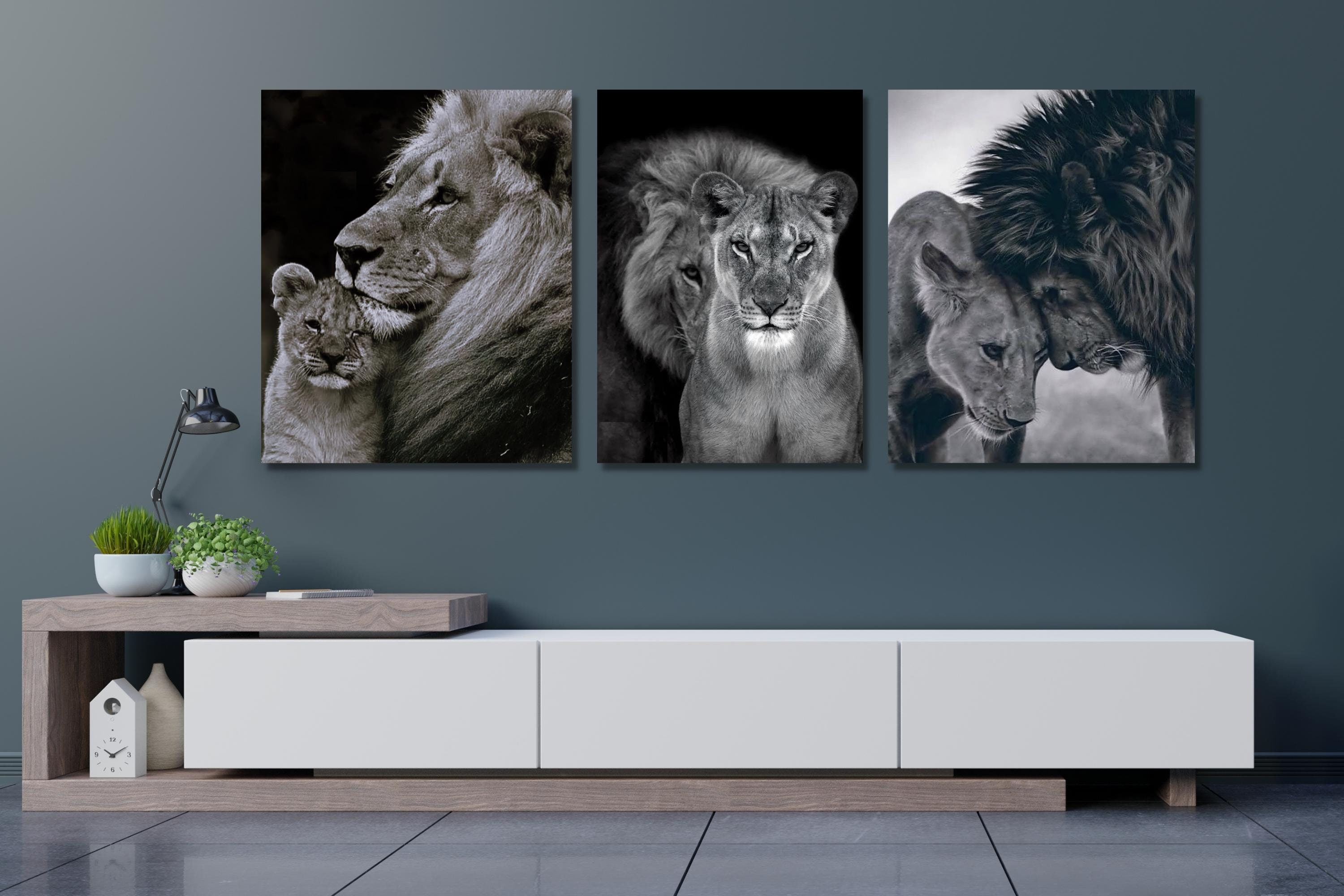 Set of 3 Picture Lion Family Canvas Liones Animals King of the - Etsy ...