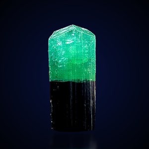 Cristallo di tormalina bicolore verde acqua e nero, cristallo di tormalina terminato da Skardu ~ 11,40 ct