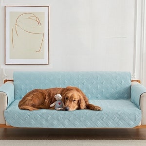 Waterproof sofa pet covers -  Italia