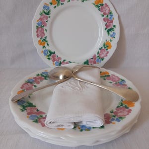 6 Vintage Arcopal flat plates