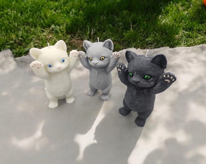Paw-Ty Time Kitten