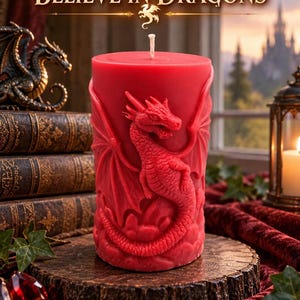 May include: A red cylindrical pillar candle featuring a raised, sculpted dragon design on its exterior. The text "FOR THOSE WHO STILL BELIEVE IN DRAGONS" is printed above the candle, accompanied by a small golden dragon icon centred below the text.