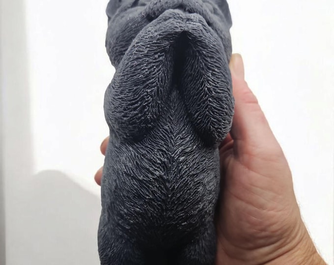 Whisker Wishes Kitten Candle