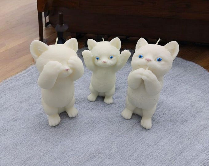 The Catitude Collection