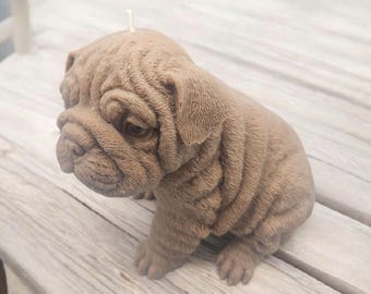Bulldog Charm