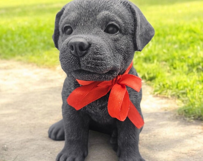 Puppy Love
