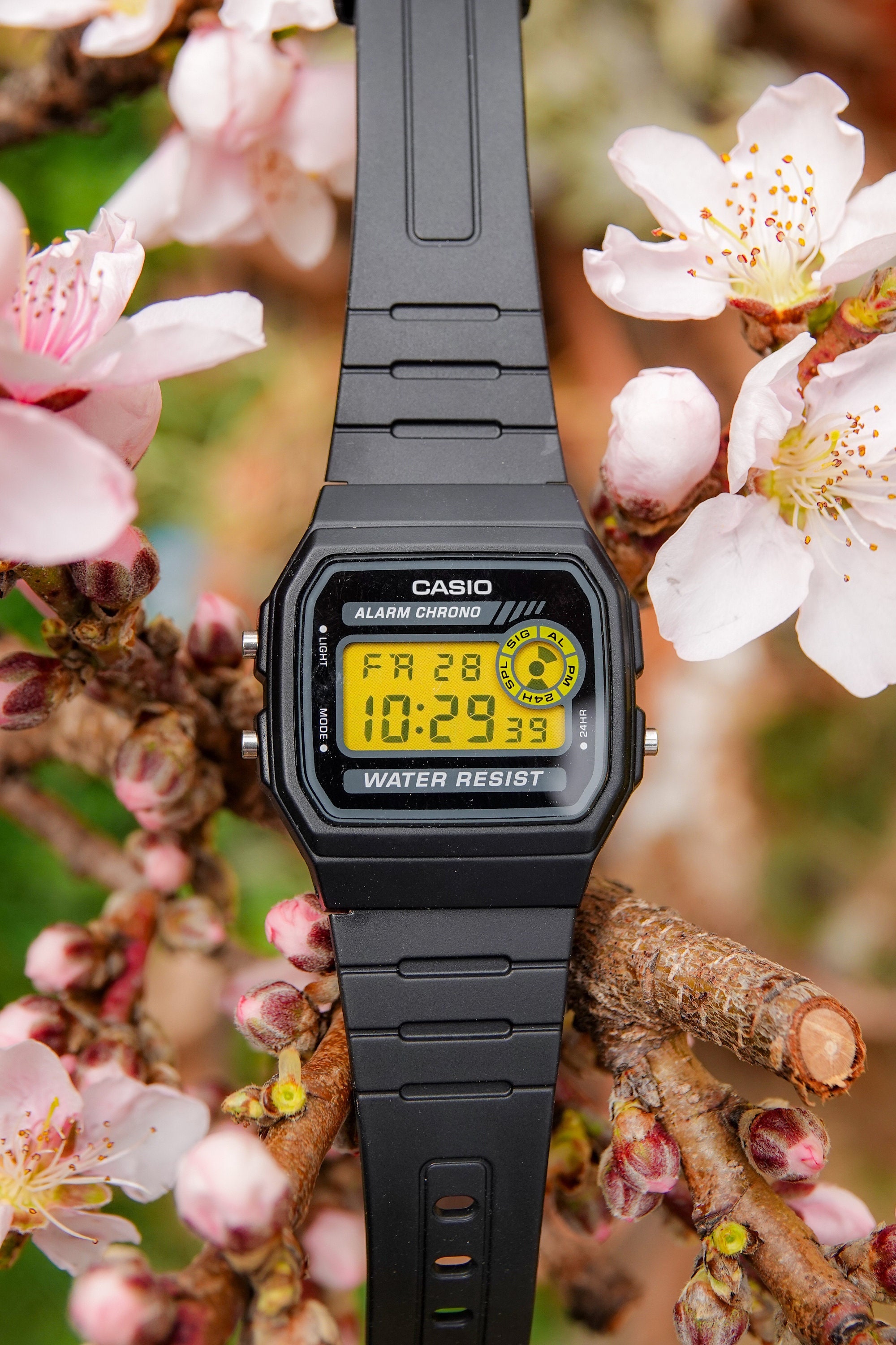 Buy Custom Casio Mod F94WA Black Yellow Modified Casio Watch Rare to Find Watch Online in India Etsy