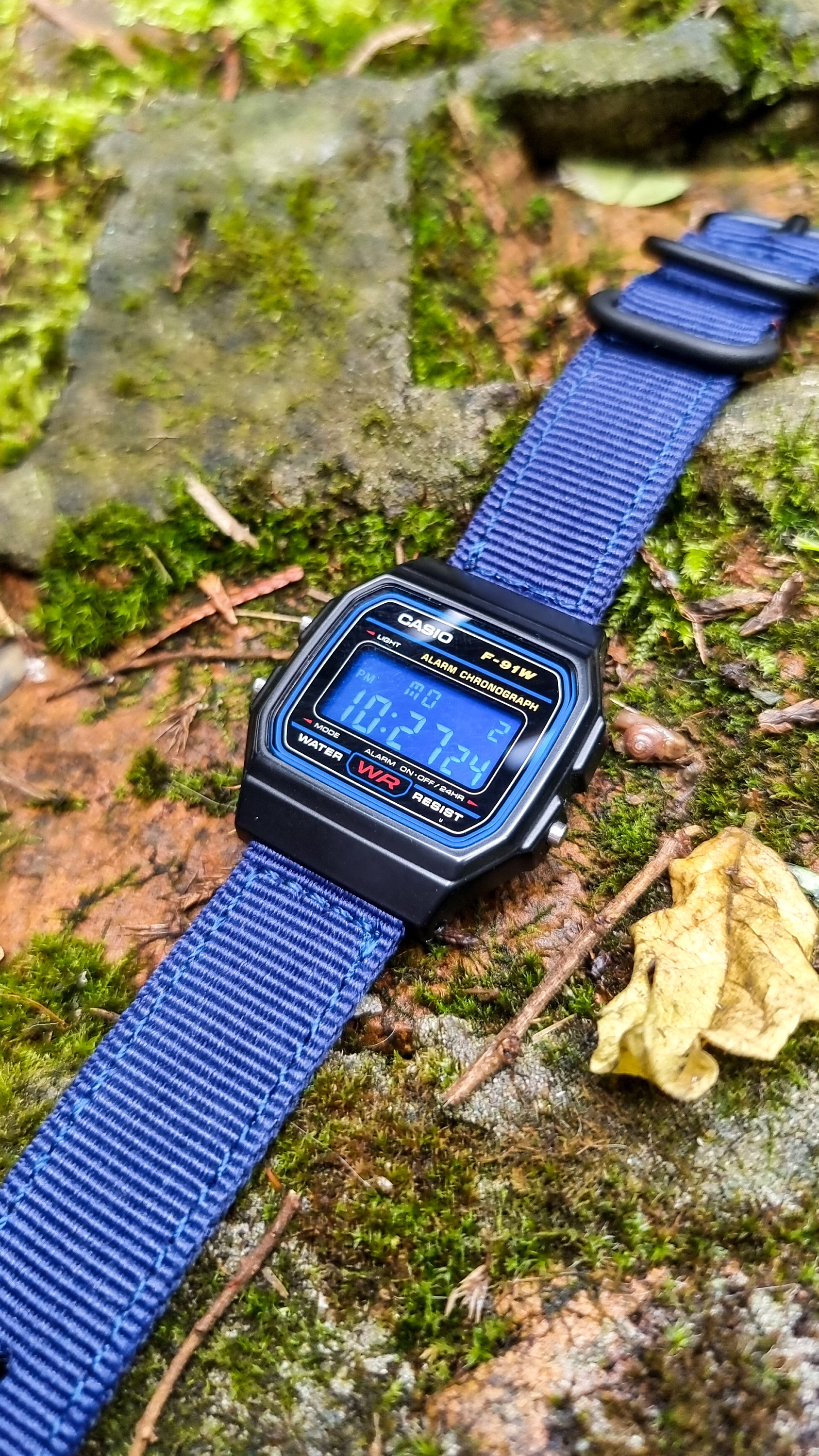 Buy Custom Casio F91W army Blue Modified Military Style Vintage Casio Watch  Blue Screen Blue Nylon Strap Online in India 