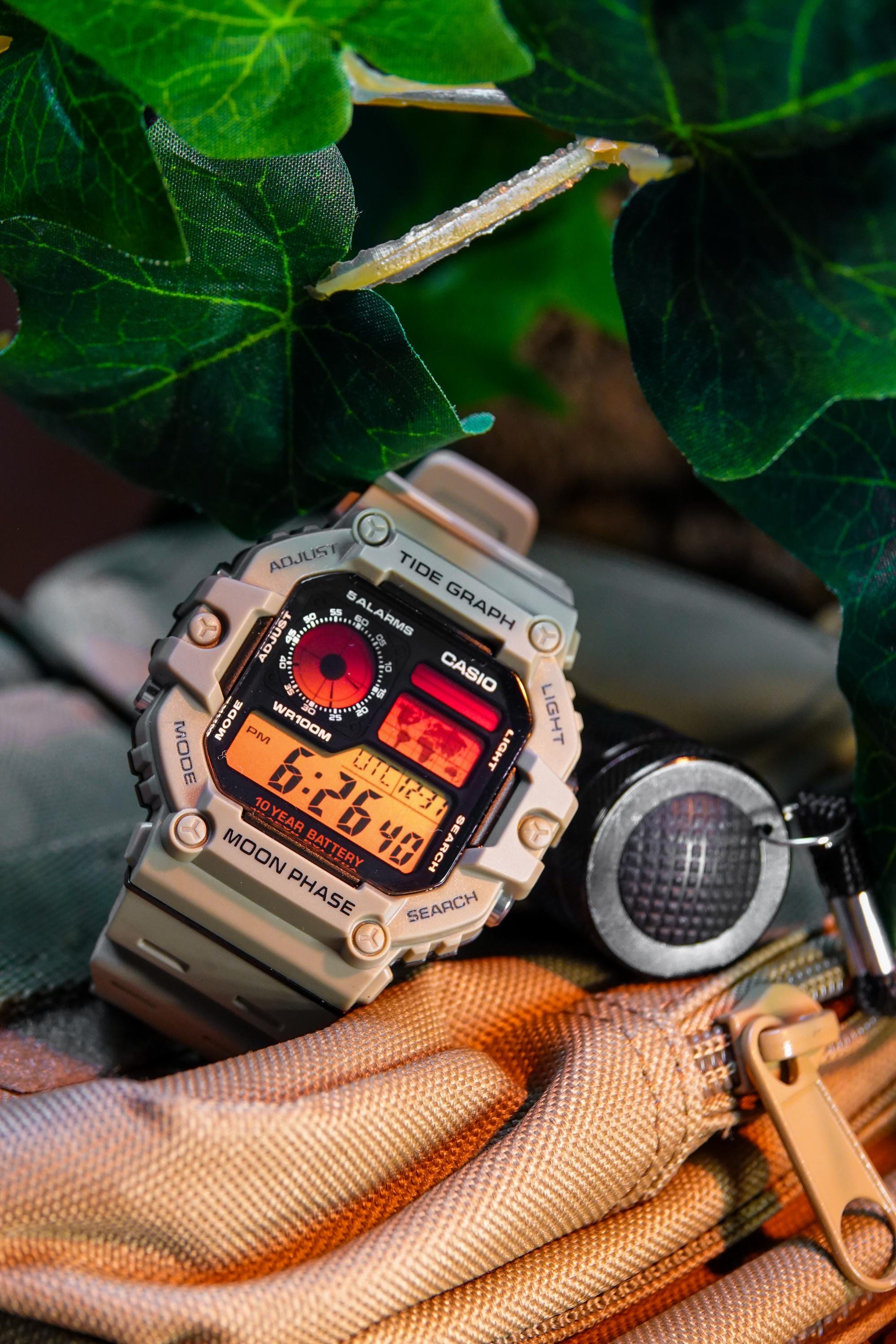 Tactical Desert Cruiser - AE-1200 Mod Modified Casio Royale Hydro