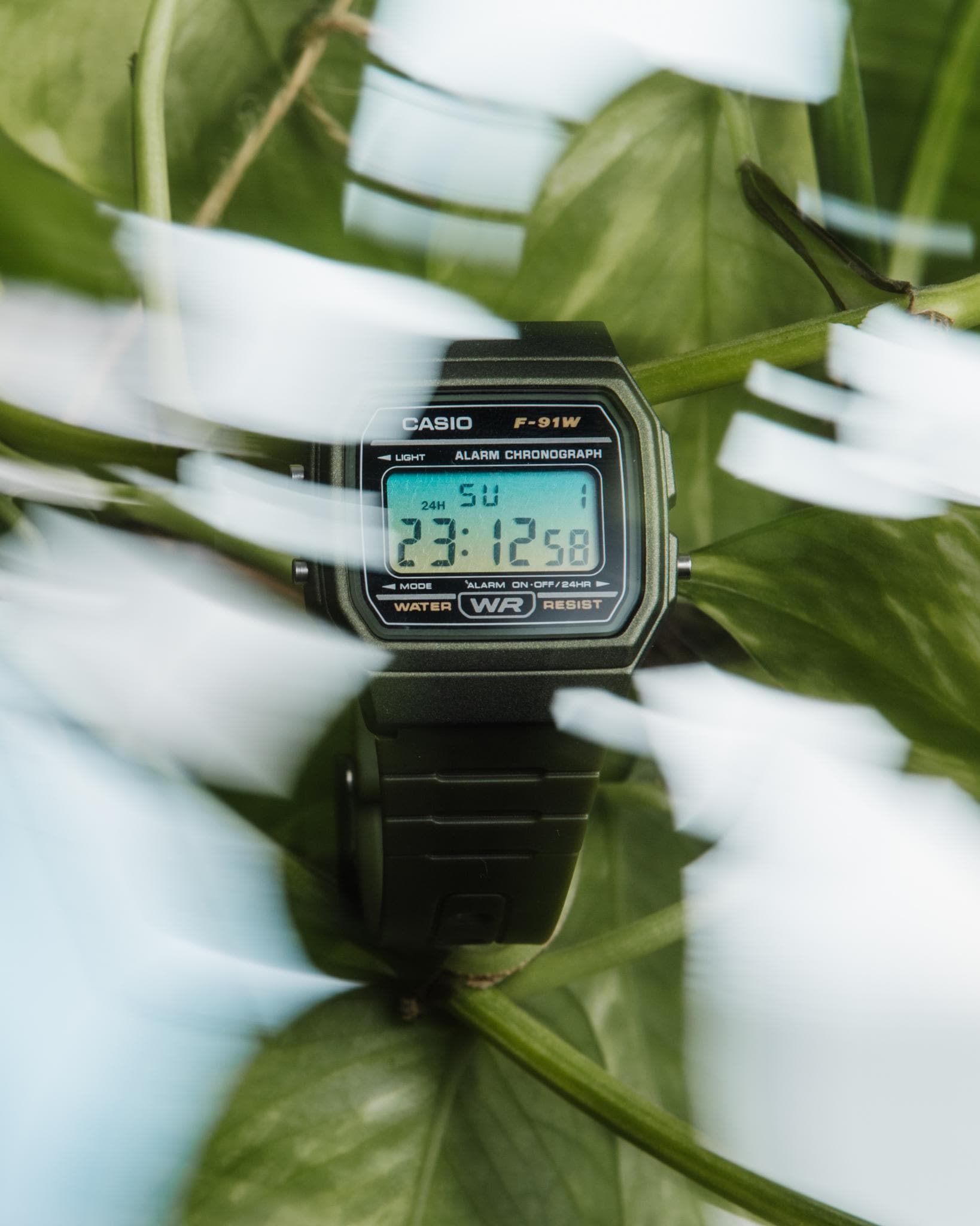 Ollee f91w - Etsy 日本