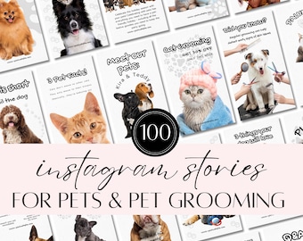 Pets Canva Instagram Feed Templates for Dog Groomers | Engaging Social Media Designs | Pet Business Branding For Instagram Stories