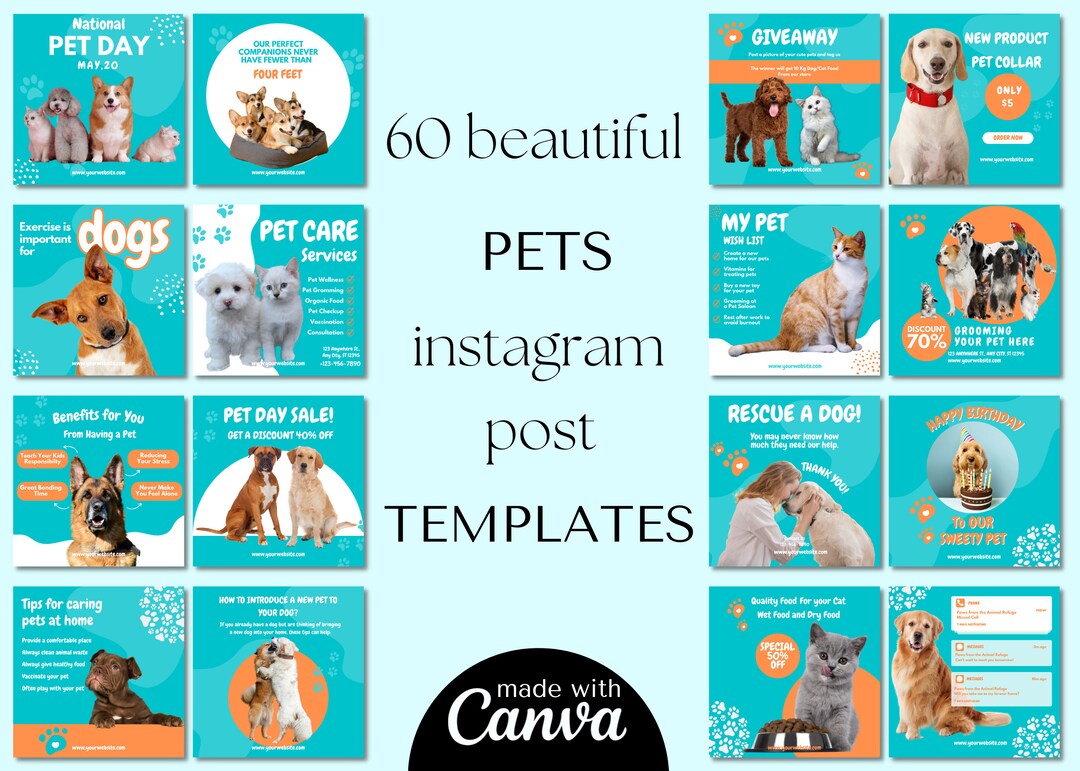 Perfect Pet Instagram Posts for Your Business Pet Lover Etsy