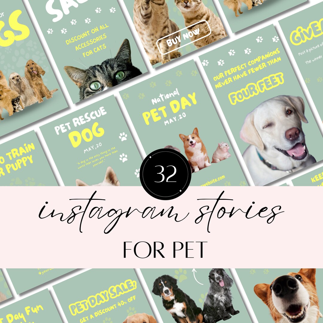 Creative Pet Instagram Story Templates Dog & Cat Instagram Designs for
