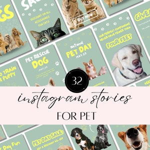 Creative Pet Instagram Story Templates: Dog & Cat Instagram Designs for Pet Bloggers and Animal Lovers - Customizable with Canva
