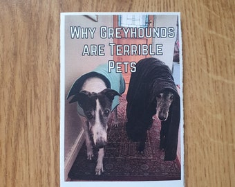 Why Greyhounds are Terrible Pets