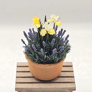 ラベンダーと葉とアイリスが入った12番目のサイズのテラコッタの丸い鉢