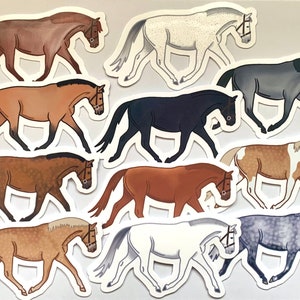Reitpferde Geschenke und Geburtstagsgeschenke - Pferdemantelfarben Sticker Pack von 11
