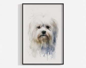 Maltese | Dog Animal Portrait Wall Art | Water Color Painting | Illustration | digital download | 0000410