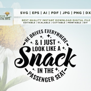Ele dirige para todo lugar e eu pareço um lanche no banco do passageiro SVG, Cricut, Png, Svg, sublimação, Funny Trendy Svg, Instant