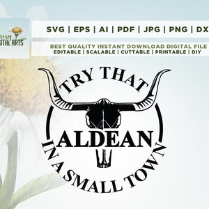 Essayez ça dans une petite ville SVG, chemise de pays, Cricut, Png, Svg, sublimation, fichier de coupe, Cricut, Aldean, chemise de pays fille, musique country