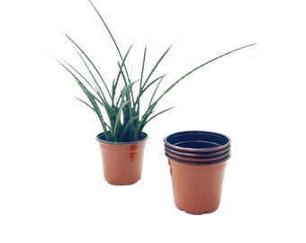 Terracotta-Style Plastic Nursery Pots (25-PK) – 4.5-inch Seedling Starter Pots