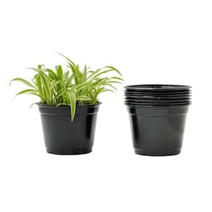 25-Pack 6-inch Round Nursery Pots with Drainage Holes - Stackable Black Plastic Planters for Perennials, Vegetables, Herbs & Indoor Plants