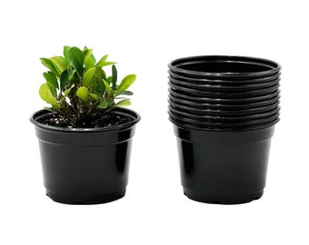 5-Inch Black Nursery Pots – Seedling Starter, 25-Pack