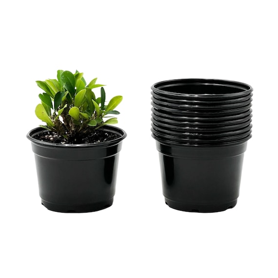 5-inch Black Nursery Pots  Seedling Starter, 25-pack - Etsy