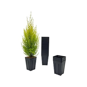 50-Pack Deep 3.5-inch Square Nursery Pots with Drainage Holes – Extra Tall Plant Starter Containers for Seedlings, Herbs, Succulents, and