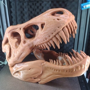 T-Rex [Tyrannosaurus] Schädelnachbildung [Paintable]