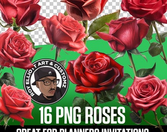 Realistische rozen illustraties | Rozen met één stam Direct downloaden| Rode rozen PNG-bestand | Commercieel gebruik Rose PNG-formaat