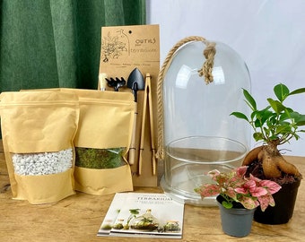 DIY Terrarium Kit - 2 plants