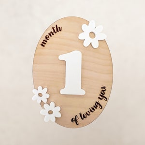 Baby Monatliche Meilenstein Marker | Holz | Boho | Babyfotos | Geschenk | Meilenstein Scheiben | Schilder | Hallo Welt | Babyparty | Meilenstein Karten