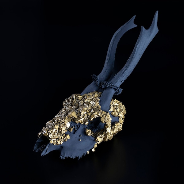 Borax Crystal Skulls Etsy