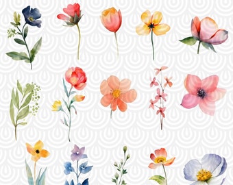 Watercolor Bright Spring Summer Flowers Clipart - wildflower floral PNG format instant digital download for commercial use